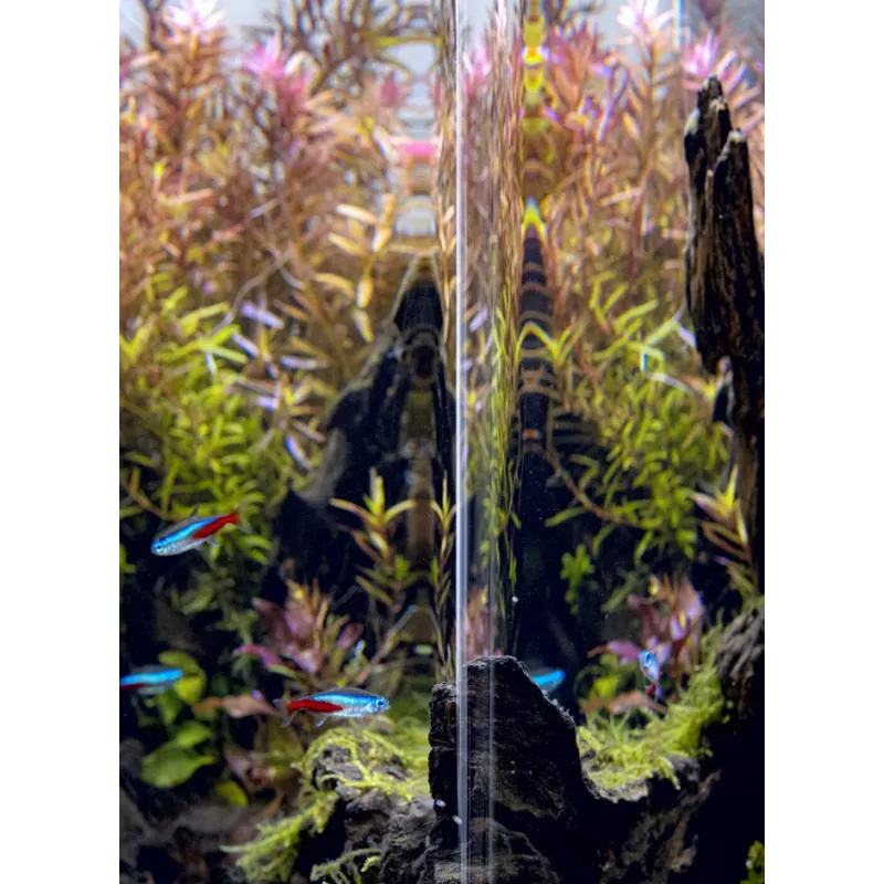AquaEl Akvarie Opti Bent Sort 30 Liter
